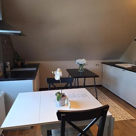 מלון דירות Casa-cosi, Tourist & Business & Flats With Reserved Parking And Private Terraces In Shared Garden With Seasonal Pool Included, Private Sauna Available לוקרן