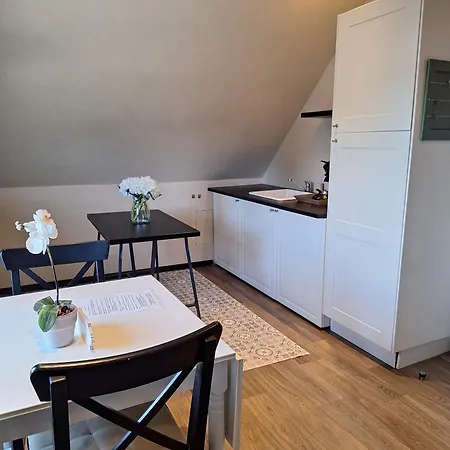 Casa-cosi, Tourist & Business & Flats With Reserved Parking And Private Terraces In Shared Garden With Seasonal Pool Included, Private Sauna Available מלון דירות לוקרן
